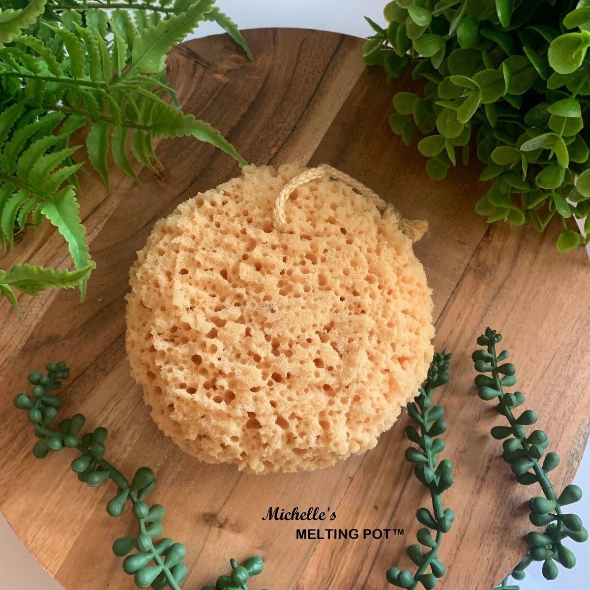 Sea Sponge – Fitz & Bennett Home